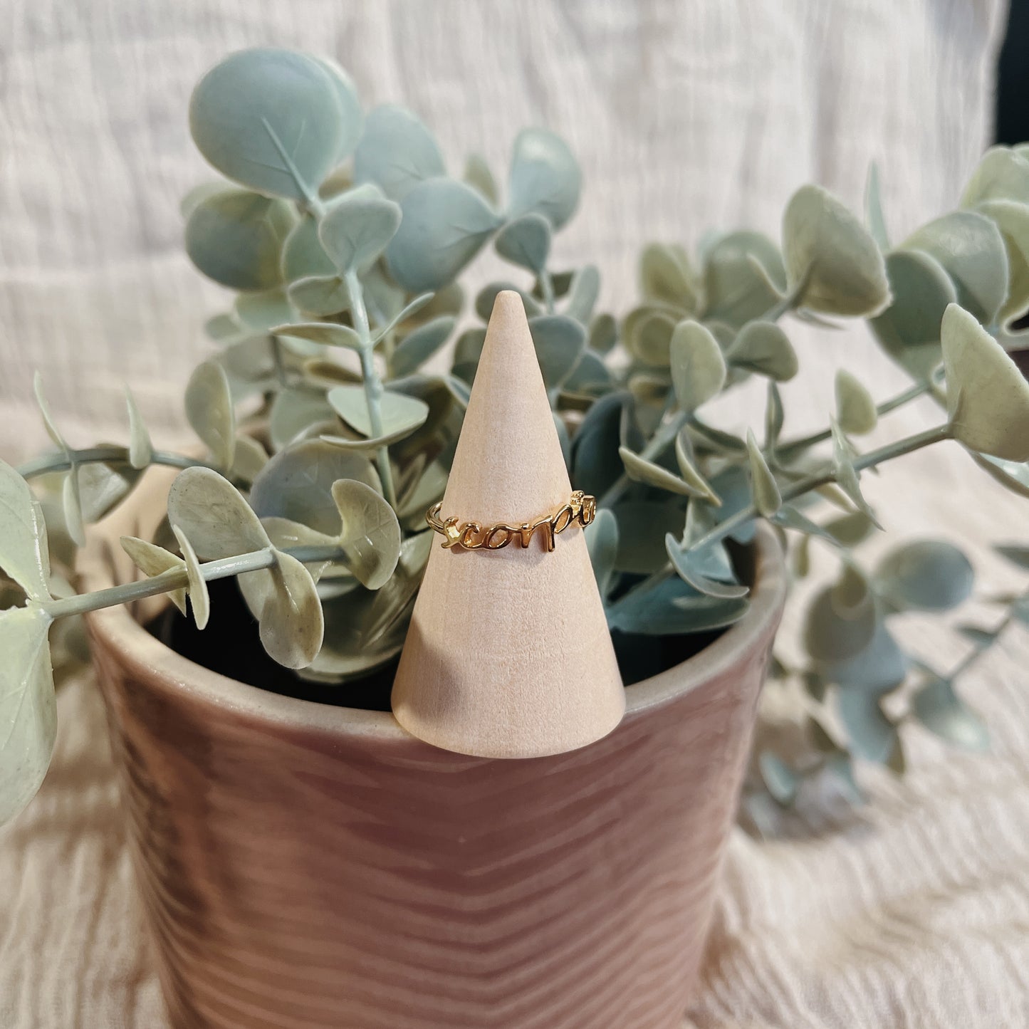 Zodiac Word Ring
